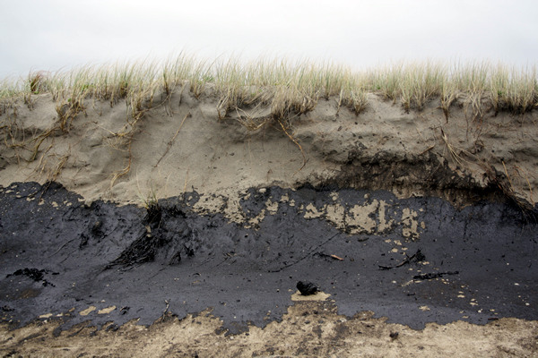 Rena Disaster, Oil Spill, Tauranga, New Zealand