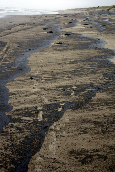 Rena Disaster, Oil Spill, Tauranga, New Zealand
