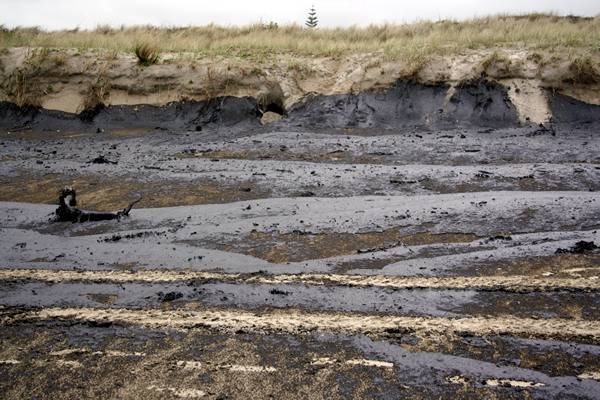 Rena Disaster, Oil Spill, Tauranga, New Zealand