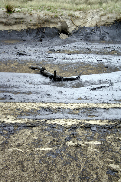 Rena Disaster, Oil Spill, Tauranga, New Zealand