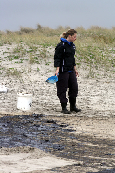 Rena Disaster, Oil Spill, Tauranga, New Zealand