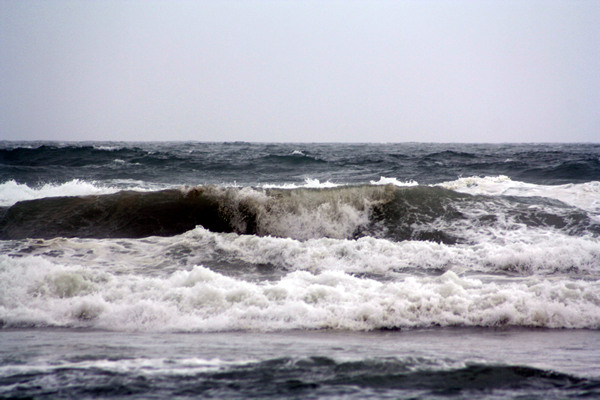 Rena Disaster, Oil Spill, Tauranga, New Zealand