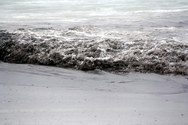 Rena Disaster, Oil Spill, Tauranga, New Zealand