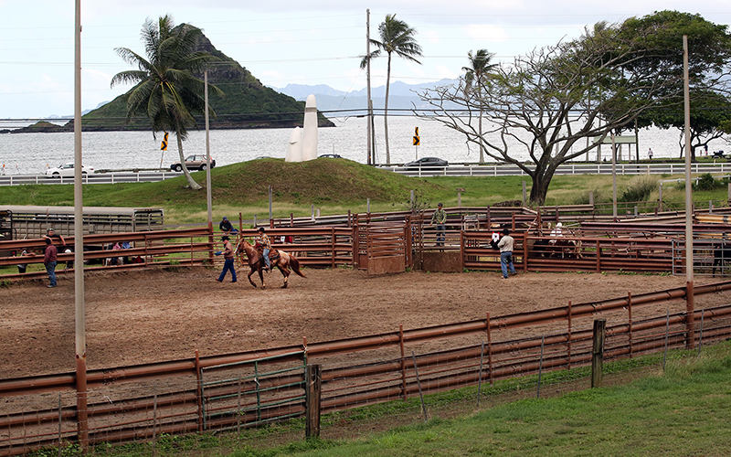 Hawaiian Rodeo : Richard Moore : Journalist : Photographer :Black and White : Portraits