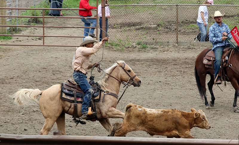 Hawaiian Rodeo : Richard Moore : Journalist : Photographer :Black and White : Portraits