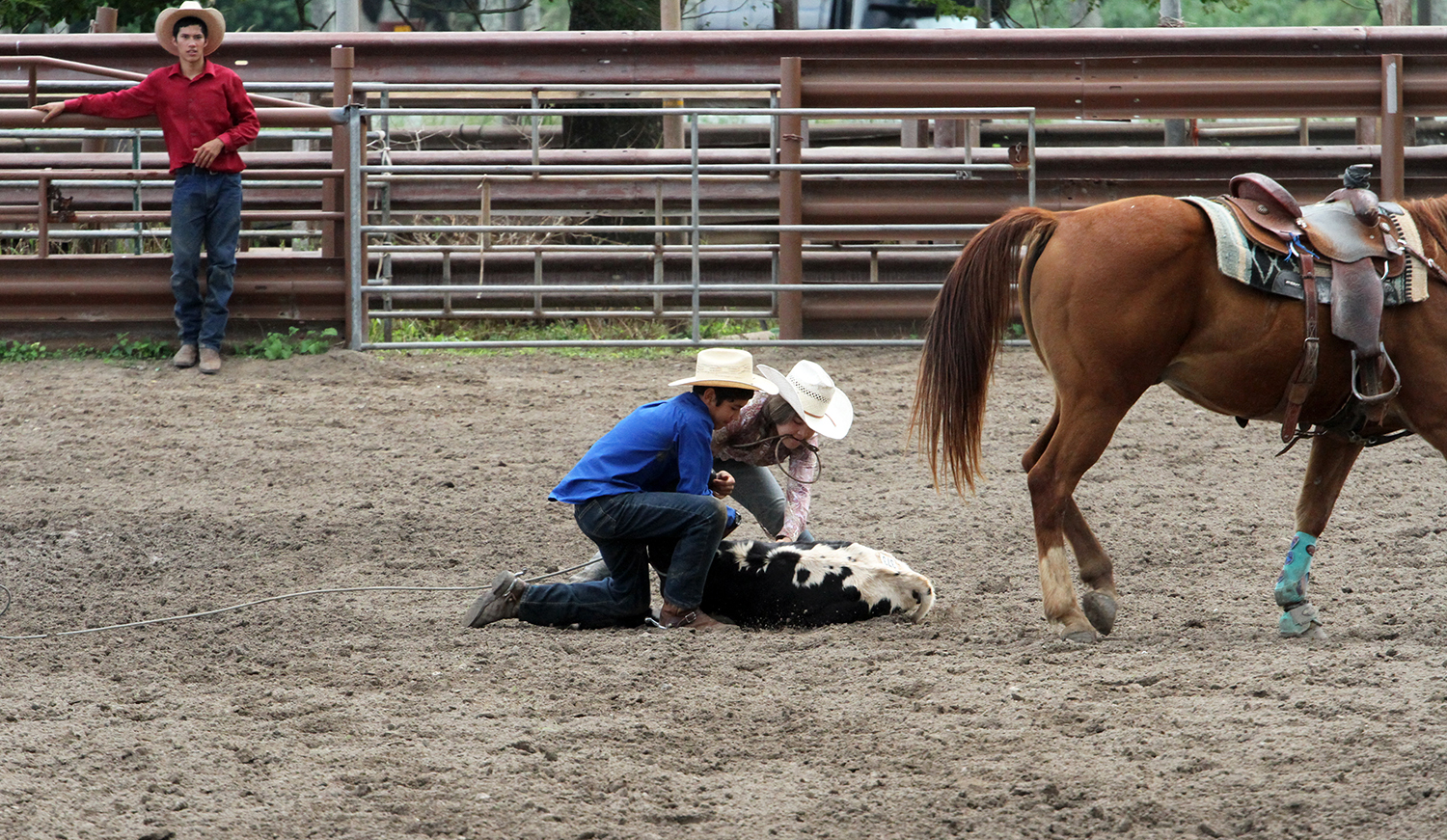 Hawaiian Rodeo : Richard Moore : Journalist : Photographer :Black and White : Portraits