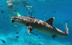 Yasawa Islands : Fiji : Travel :  Photos : Richard Moore : Photographer