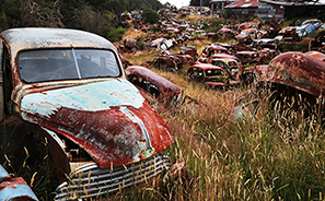 Travel : New Zealand :  Photos : Richard Moore : Photographer