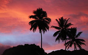 Cook Islands : Travel : New Zealand :  Photos : Richard Moore : Photographer