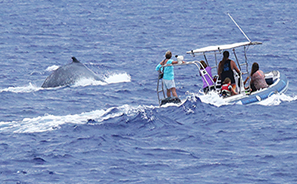 Cook Islands : Travel : New Zealand :  Photos : Richard Moore : Photographer